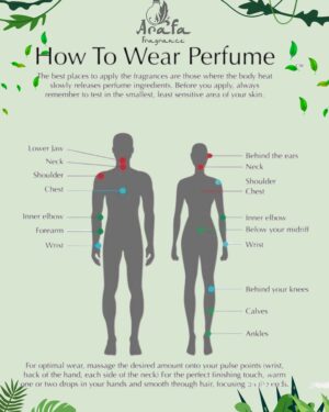 how to wear perfume_11zon